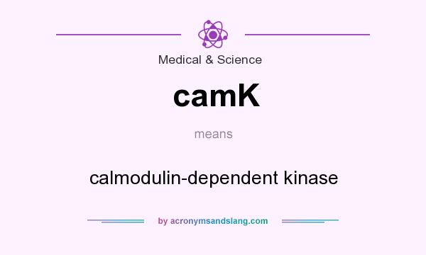 What does camK mean? It stands for calmodulin-dependent kinase