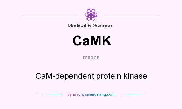 What does CaMK mean? It stands for CaM-dependent protein kinase