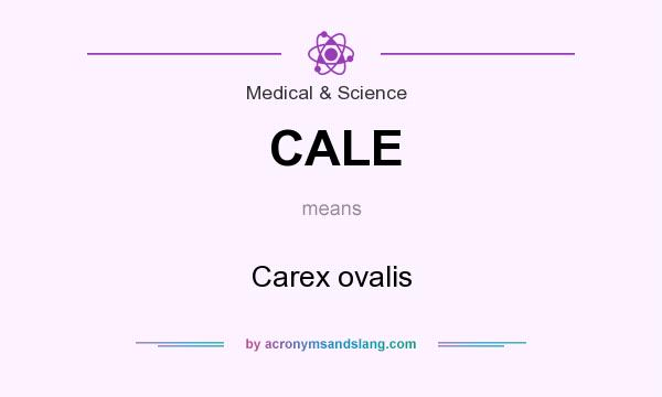 What does CALE mean? It stands for Carex ovalis