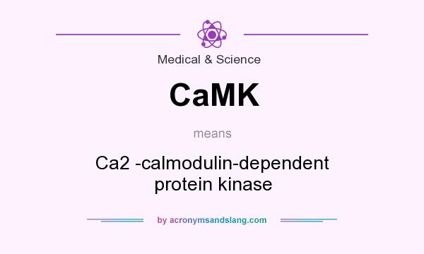 What does CaMK mean? It stands for Ca2 -calmodulin-dependent protein kinase