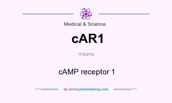 What does cAR1 mean? It stands for cAMP receptor 1