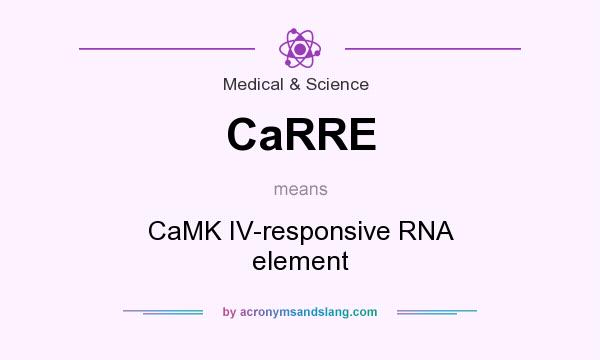 What does CaRRE mean? It stands for CaMK IV-responsive RNA element