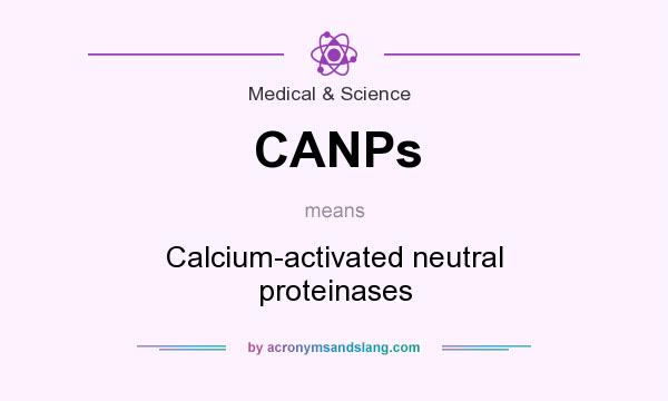 What does CANPs mean? It stands for Calcium-activated neutral proteinases