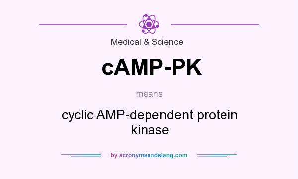 What does cAMP-PK mean? It stands for cyclic AMP-dependent protein kinase