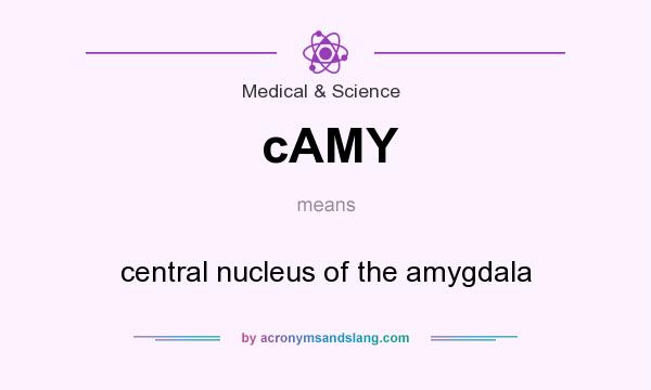 What does cAMY mean? It stands for central nucleus of the amygdala