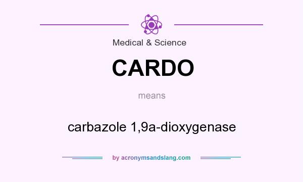 What does CARDO mean? It stands for carbazole 1,9a-dioxygenase
