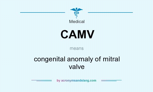 What does CAMV mean? It stands for congenital anomaly of mitral valve