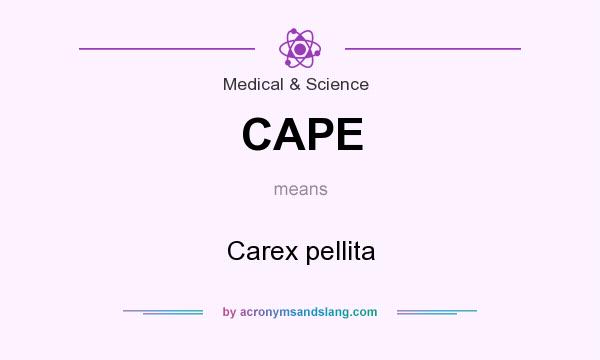What does CAPE mean? It stands for Carex pellita