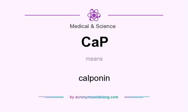 What does CaP mean? It stands for calponin