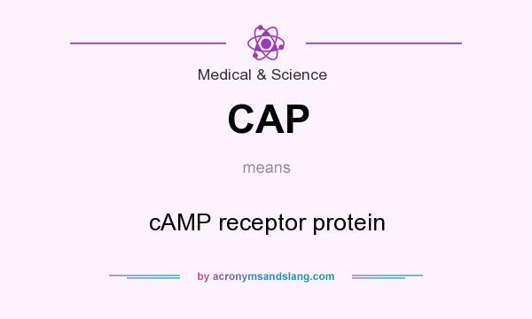 What does CAP mean? It stands for cAMP receptor protein