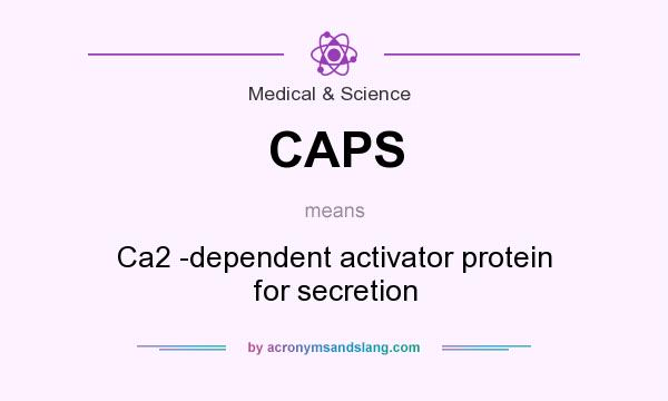 What does CAPS mean? It stands for Ca2 -dependent activator protein for secretion