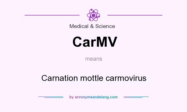 What does CarMV mean? It stands for Carnation mottle carmovirus