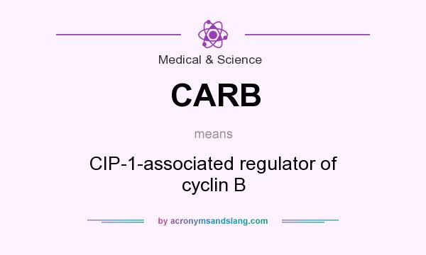 What does CARB mean? It stands for CIP-1-associated regulator of cyclin B