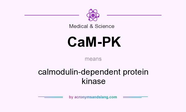 What does CaM-PK mean? It stands for calmodulin-dependent protein kinase