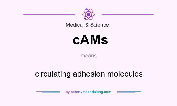 What does cAMs mean? It stands for circulating adhesion molecules