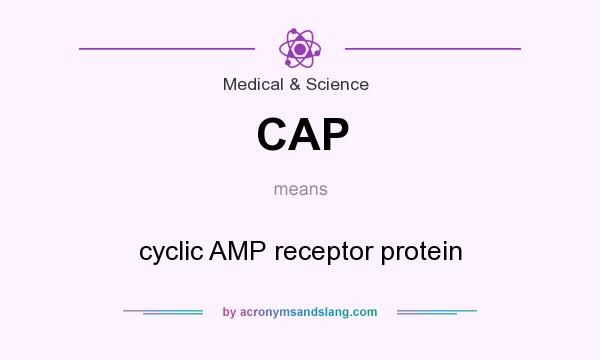What does CAP mean? It stands for cyclic AMP receptor protein