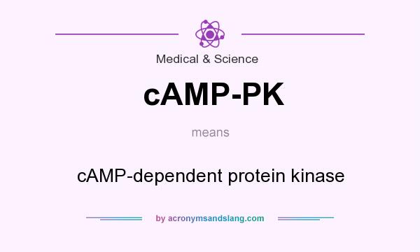 What does cAMP-PK mean? It stands for cAMP-dependent protein kinase