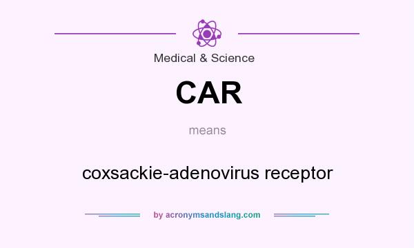 What does CAR mean? It stands for coxsackie-adenovirus receptor