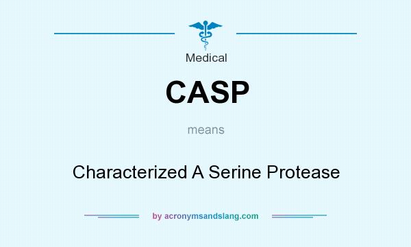 What does CASP mean? It stands for Characterized A Serine Protease