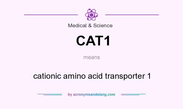 What does CAT1 mean? It stands for cationic amino acid transporter 1
