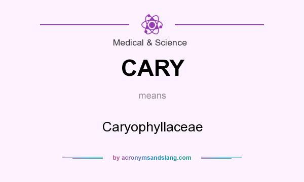 What does CARY mean? It stands for Caryophyllaceae
