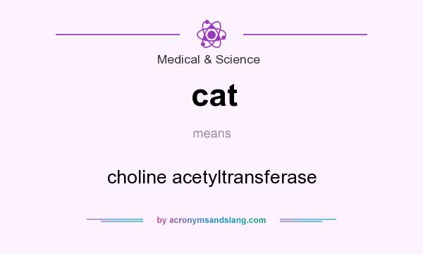 What does cat mean? It stands for choline acetyltransferase