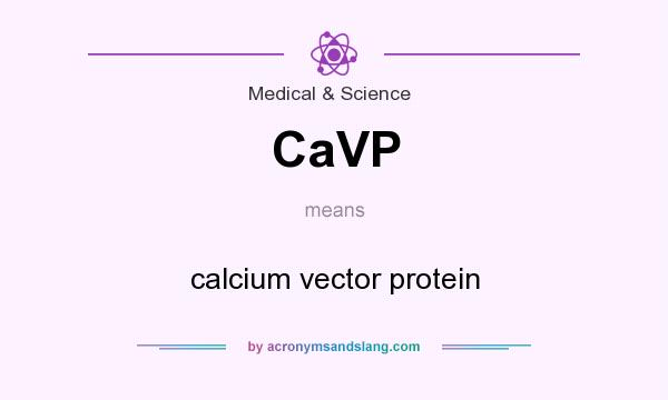 What does CaVP mean? It stands for calcium vector protein