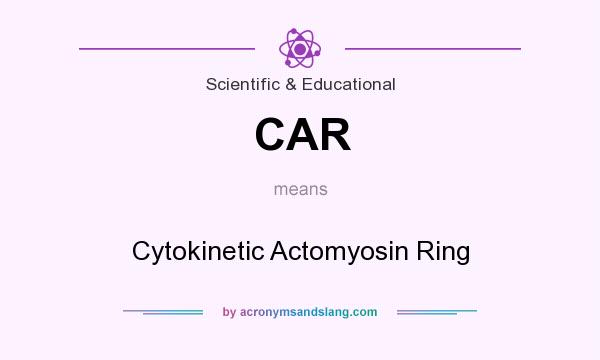 What does CAR mean? It stands for Cytokinetic Actomyosin Ring