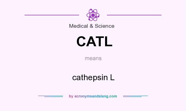What does CATL mean? It stands for cathepsin L