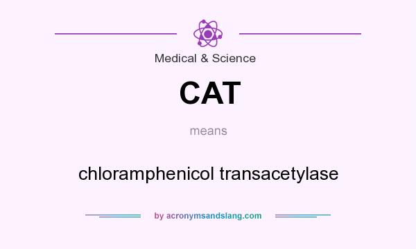 What does CAT mean? It stands for chloramphenicol transacetylase