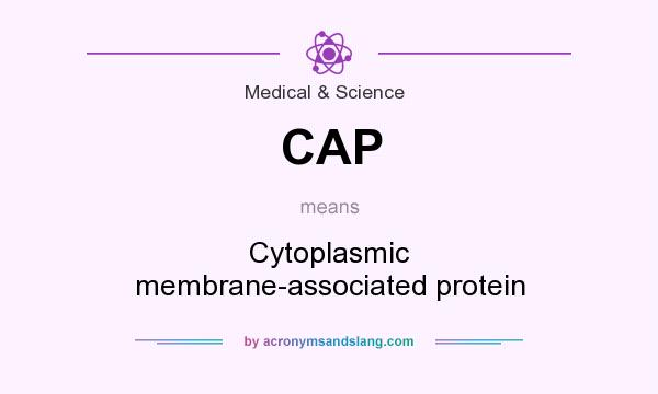 What does CAP mean? It stands for Cytoplasmic membrane-associated protein