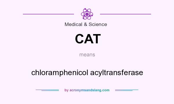 What does CAT mean? It stands for chloramphenicol acyltransferase