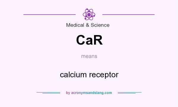 What does CaR mean? It stands for calcium receptor