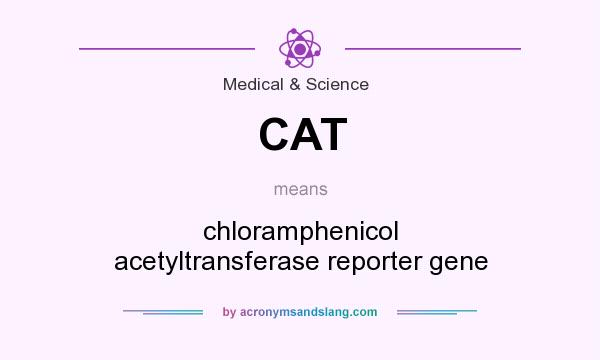 What does CAT mean? It stands for chloramphenicol acetyltransferase reporter gene