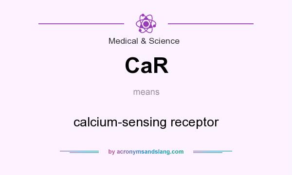 What does CaR mean? It stands for calcium-sensing receptor