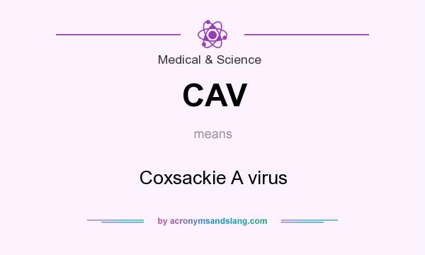 What does CAV mean? It stands for Coxsackie A virus
