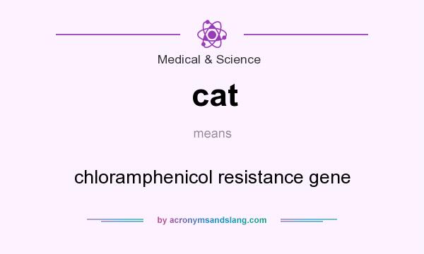 What does cat mean? It stands for chloramphenicol resistance gene