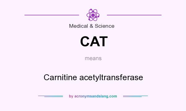 What does CAT mean? It stands for Carnitine acetyltransferase