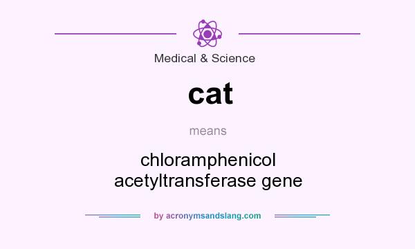 What does cat mean? It stands for chloramphenicol acetyltransferase gene