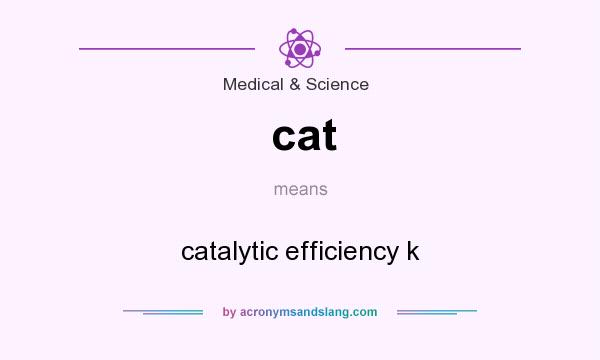 What does cat mean? It stands for catalytic efficiency k