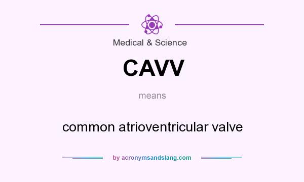 What does CAVV mean? It stands for common atrioventricular valve