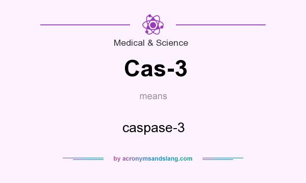 What does Cas-3 mean? It stands for caspase-3