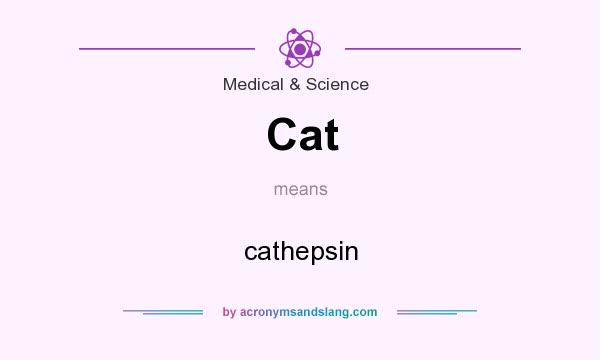 What does Cat mean? It stands for cathepsin