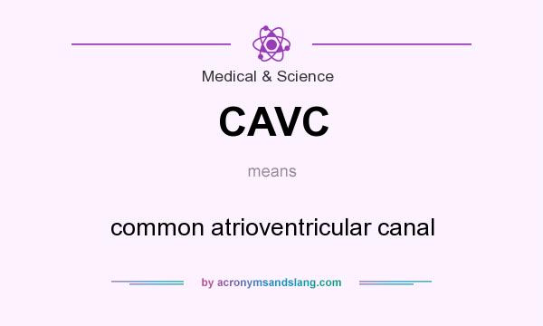 What does CAVC mean? It stands for common atrioventricular canal