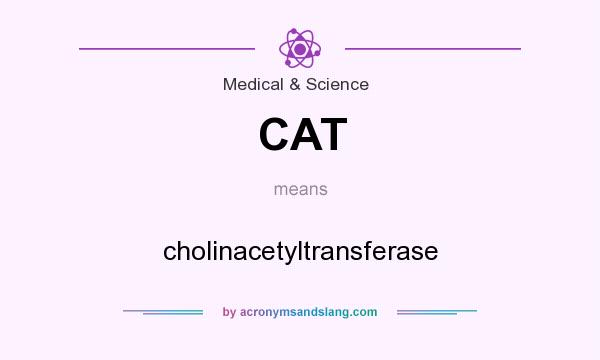 What does CAT mean? It stands for cholinacetyltransferase
