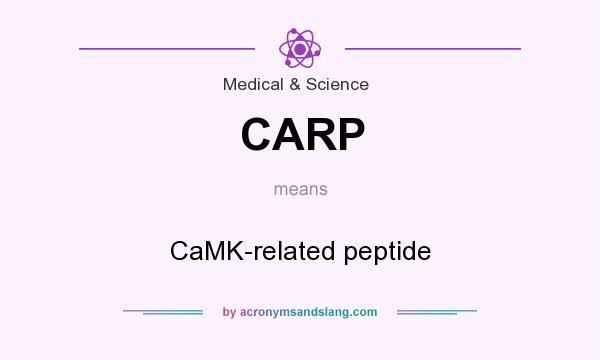 What does CARP mean? It stands for CaMK-related peptide
