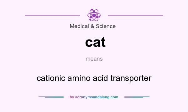 What does cat mean? It stands for cationic amino acid transporter