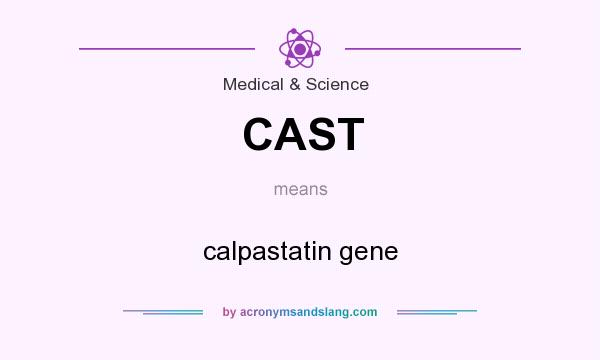 What does CAST mean? It stands for calpastatin gene