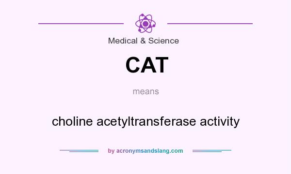 What does CAT mean? It stands for choline acetyltransferase activity