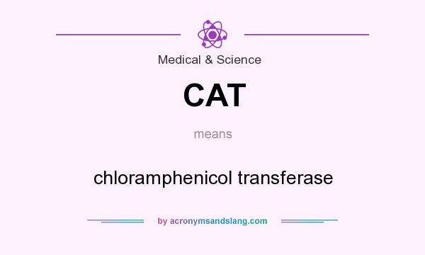 What does CAT mean? It stands for chloramphenicol transferase